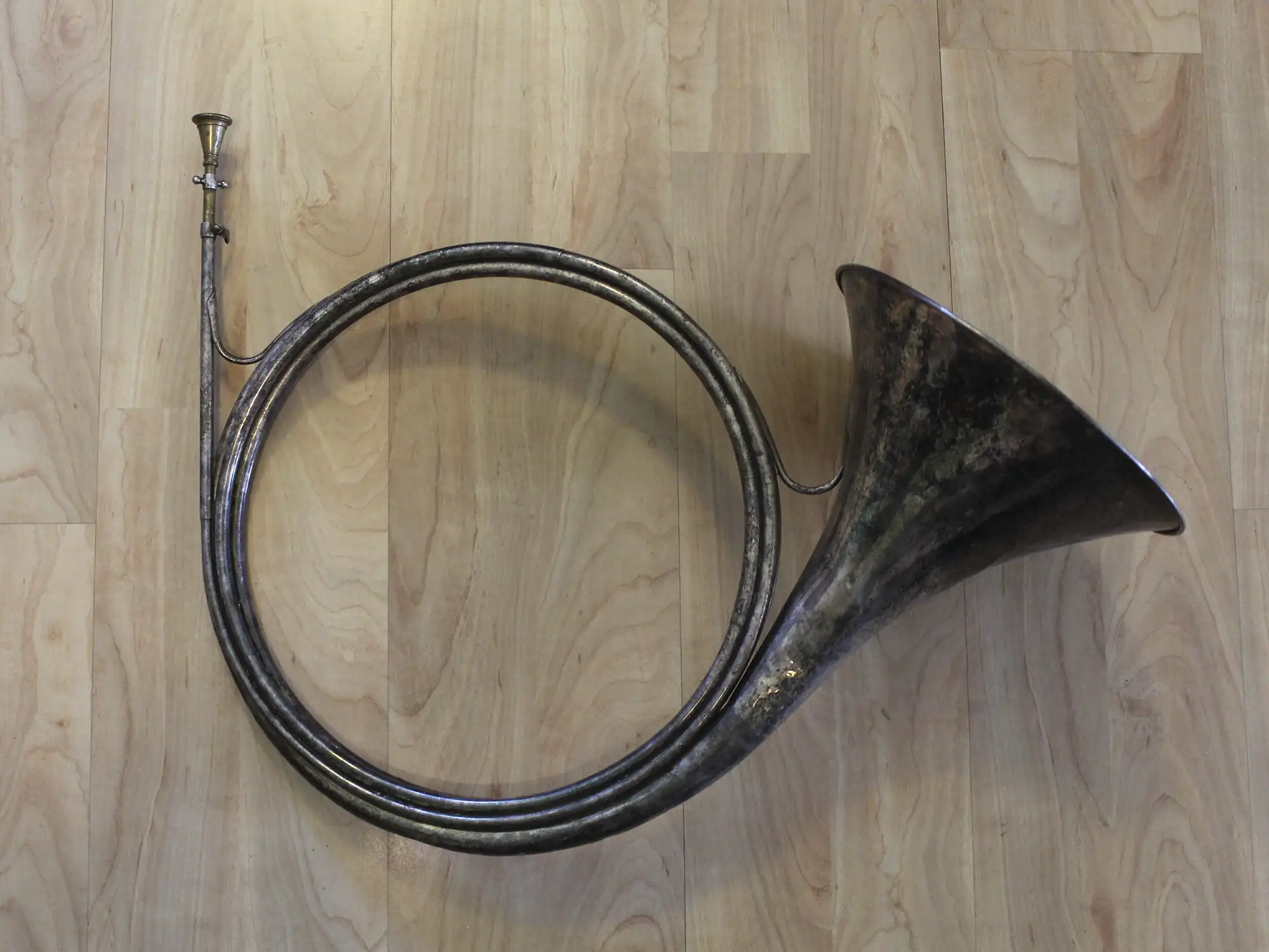 Cor De Chasse En Corne De Bœuf Poli - Longueur Environ 36 Cm, Fait Main, Pour Collection Ou Reconstitution