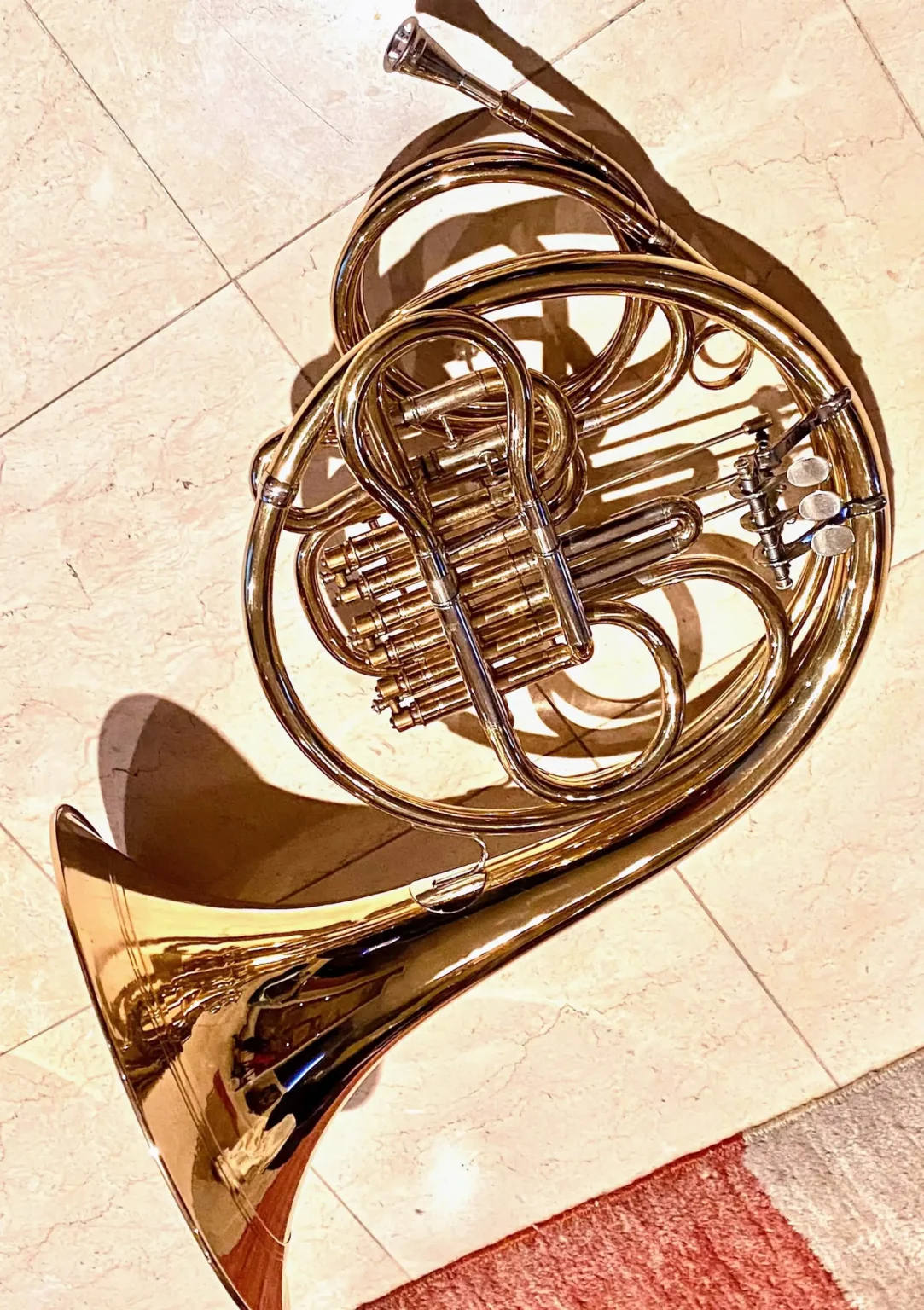 Finke Vienna Horn