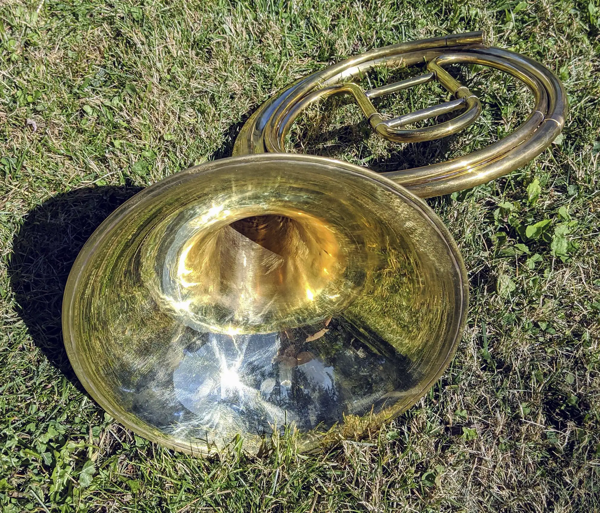 Uhlmann Natural Horn – Viennese Replicas made by Miles O'Malley (Total Cost  $5,500) - Hampson Horns