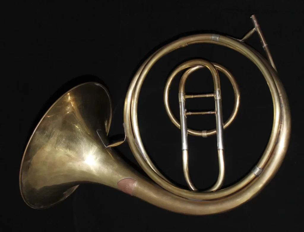 Valvectomy Natural Horns